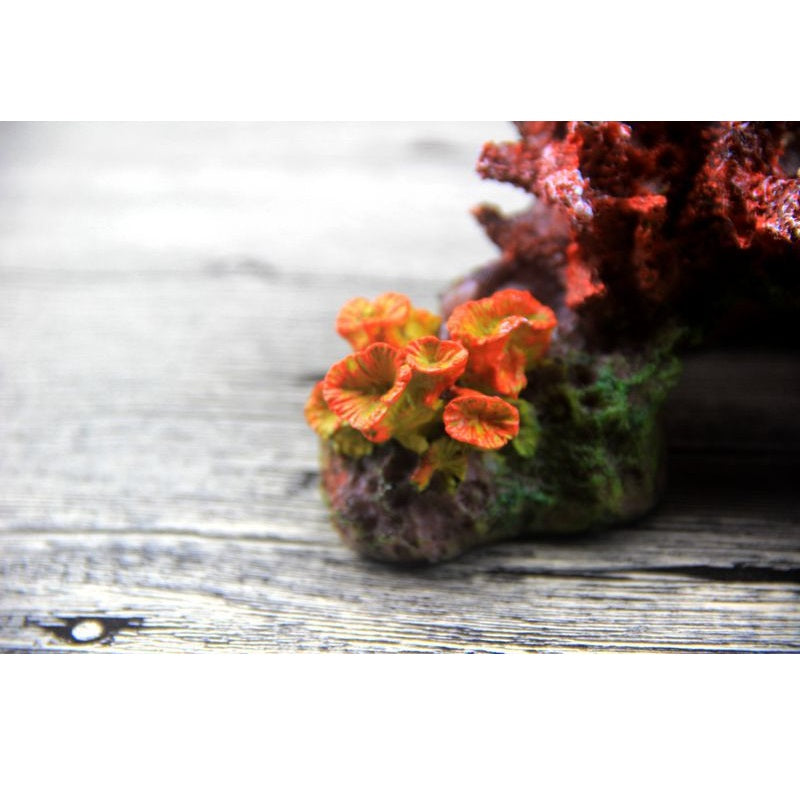 Colorful fish tank decoration by dealonlinenz, featuring vibrant aquatic ornaments for freshwater or saltwater tanks.