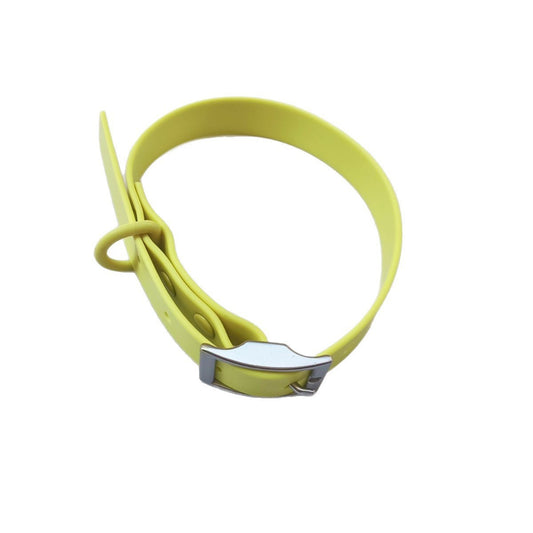 PVC Dog Collar & Leash Options – ColourPop Walks