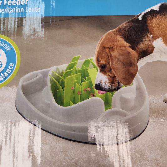 Afp Lifestyle Dog Slow Feeder Animal Addiction Limited