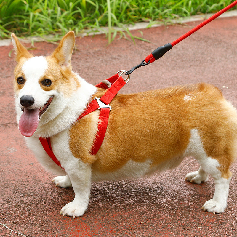 Dealonlinenz dog harness and leash set for puppies, featuring a 2.5cm traction rope and adjustable pet harness in a vibrant color