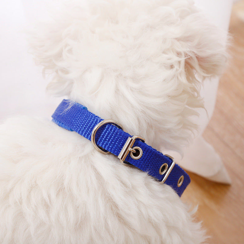 Colorful nylon dog collar by dealonline.co.nz, 4cm wide and 70cm long, adjustable for a comfortable fit.