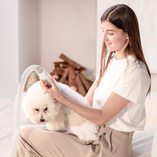 PETKIT 5-in-1 Pet Grooming Kit (AirClipper) Petkit New Zealand Official