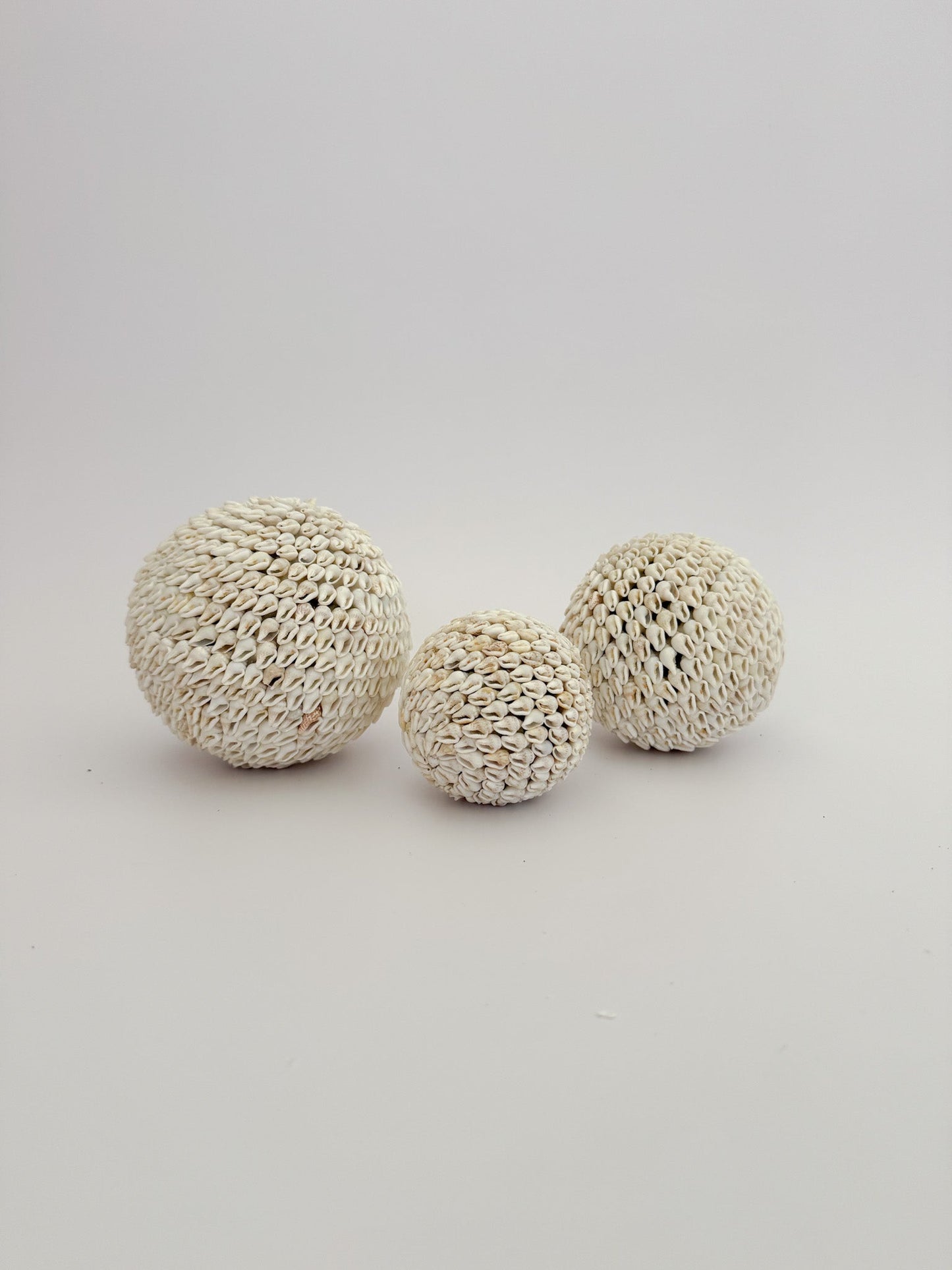 Natural White Shell Ball Inkah Limited