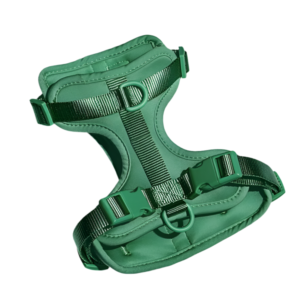 Green Walkieez no-pull dog harness with adjustable straps, designed for comfortable and secure control during walks.
