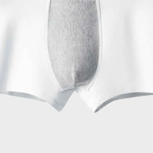 MiiOW 3Pcs Cotton Men's Underwear 7A Antibacterial Crotch Men Panties Skin-friendly Softness Man Autumn Winter Boxers Underpants
