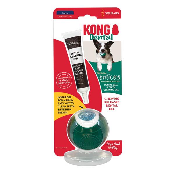 Large KONG Dental Ball with teeth cleaning gel from Animal Addiction Limited, showing the textured ball and gel applicator.