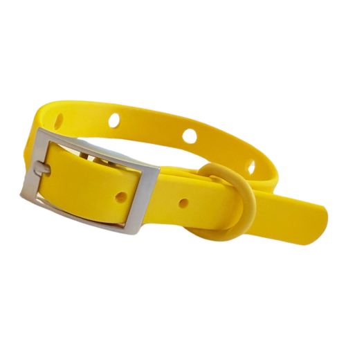 Dog Collar | Yellow Walkieez