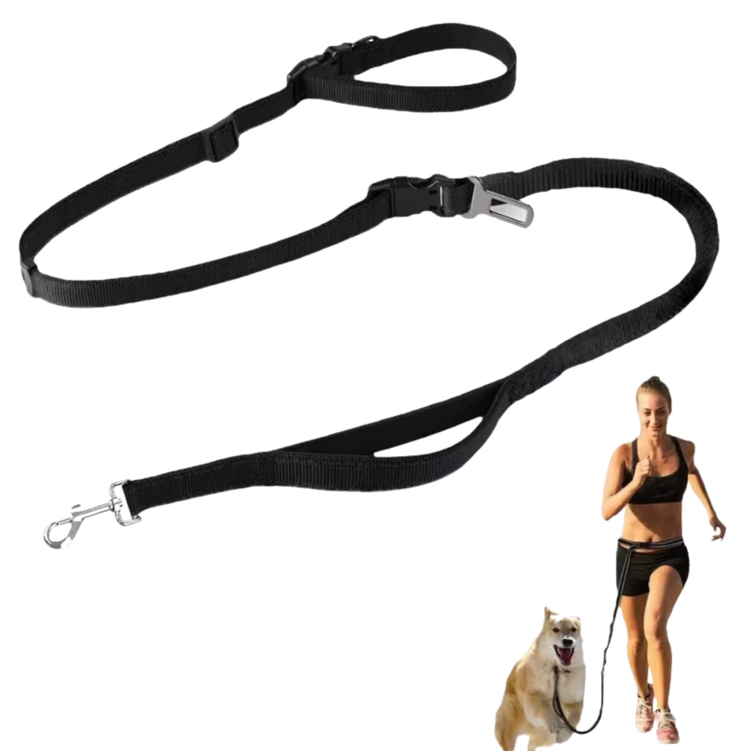 Habicare nylon hands-free dog leash, 2.5x250cm, shown in a clean, natural setting with the leash extended ready for walking.