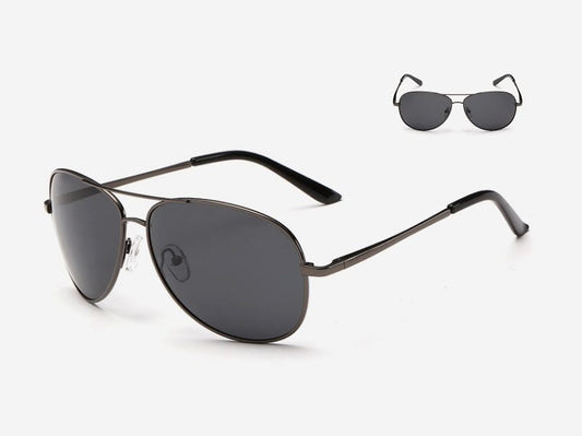 HD Polarized Lens Sunglasses Anti-Blue Ray Hydrophobic with Case dealonline.co.nz