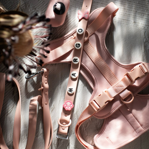 Essential Dog Lead | Blush Pink Walkieez