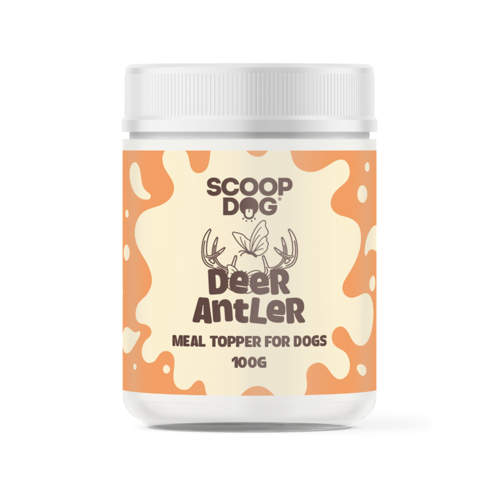 Animal Addiction Limited Deer Antler Dog Topper, 100g, natural deer antler piece for dogs, shown in the image.