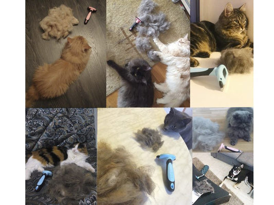 Pet Grooming Brush Size L, Pink dealonline.co.nz