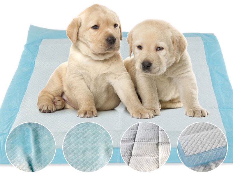 Puppy training pads by dealonline.co.nz, absorbent and leak-proof, suitable for housebreaking small dogs and puppies.