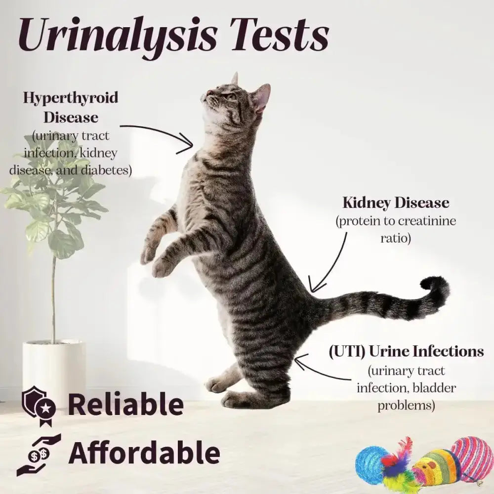 Pet Urine Testing Strips (x 100) Habicare