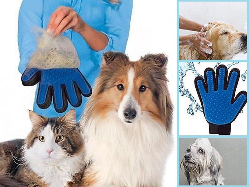 Two pairs of dealonlinenz pet grooming gloves for dogs and cats, with soft bristles for fur removal and massage.