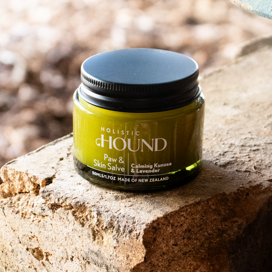 Holistic Hound - Paw & Skin Salve 50g Animal Addiction Limited