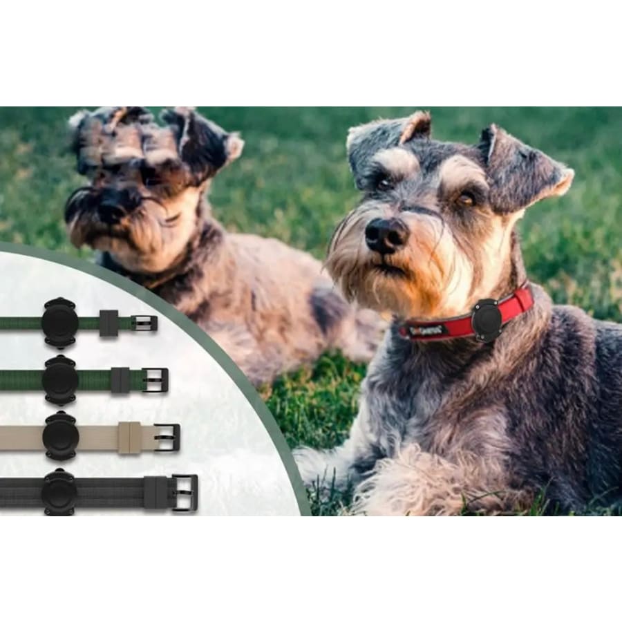 Waterproof Apple Air Tag Holder for Dogs That Watch Shop