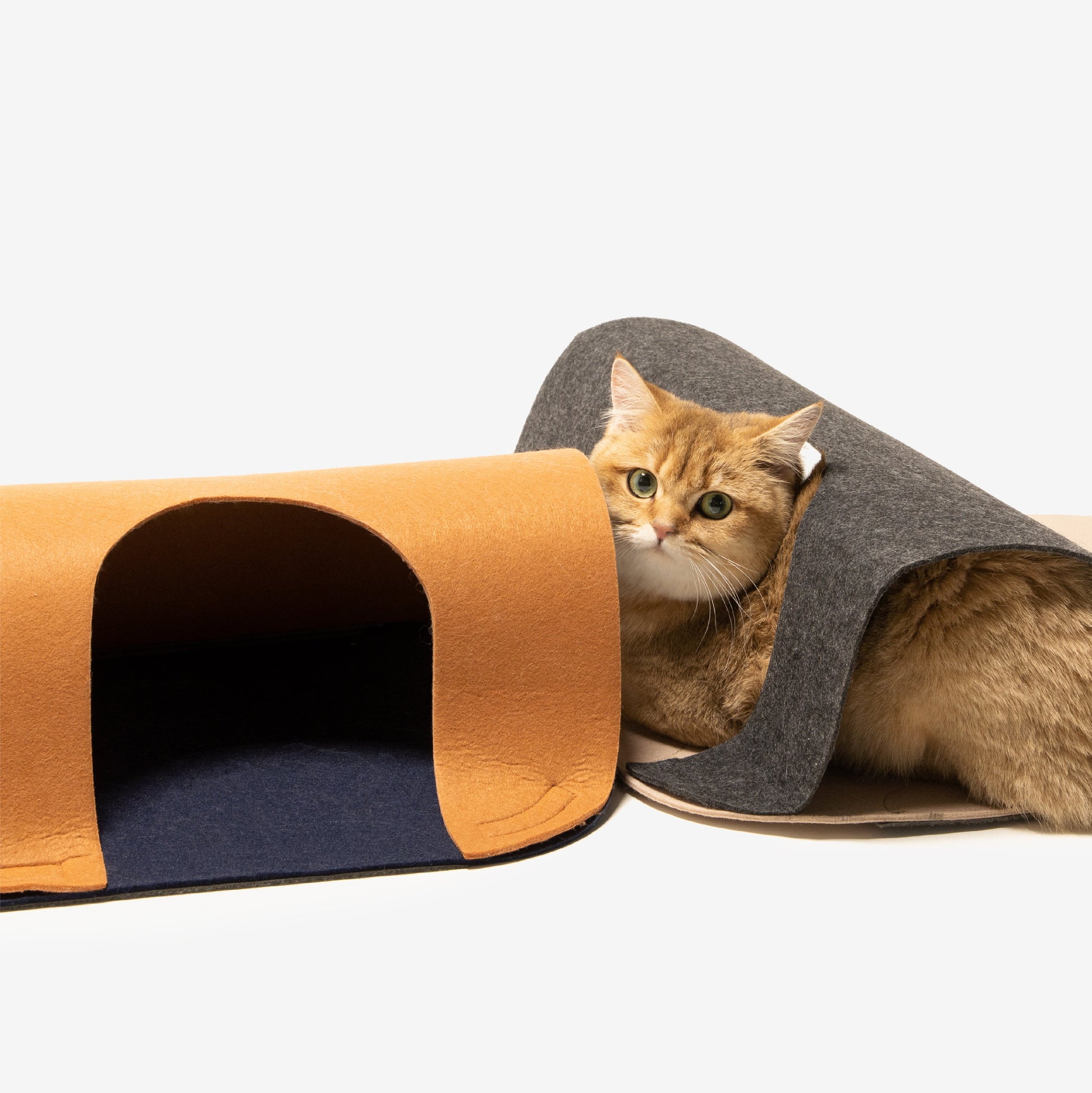 PIDAN Catube Carpet Tunnel (2 PCS) Pidan New Zealand