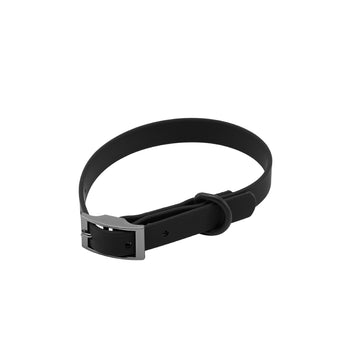 PVC Dog Collar & Leash Options – ColourPop Walks