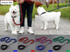 LARGE BLUE & RED Strong Dog Leash Climbing Rope Threaded Pet Training