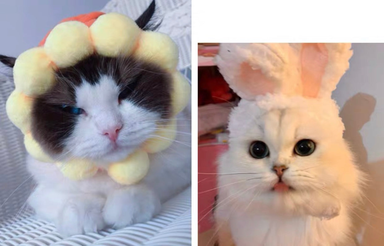 Bunny Bonnet For pets-2
