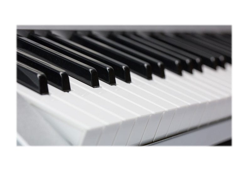 Electronic ORGAN KEYBOARD PIANO 61-Key Multi-Functional dealonline.co.nz