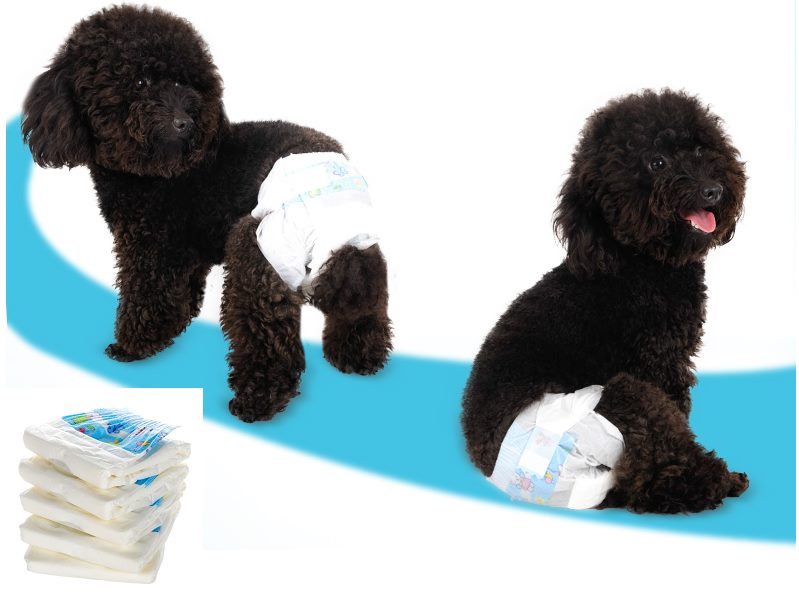 10PCS/PACK Diapers Puppy Disposable Nappy Female Dog Menstrual Sanitary Pants XL dealonline.co.nz
