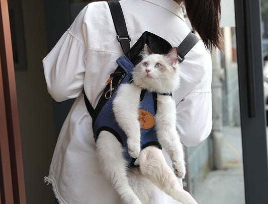 Pet/Puppy Travel Carry Bag, BLUE, L dealonline.co.nz