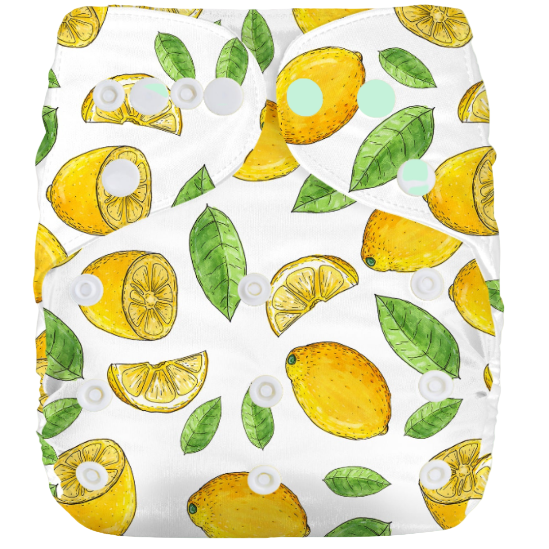 Reusable Cloth Nappies - One Size Fits 3-17kg, Eco-Friendly
