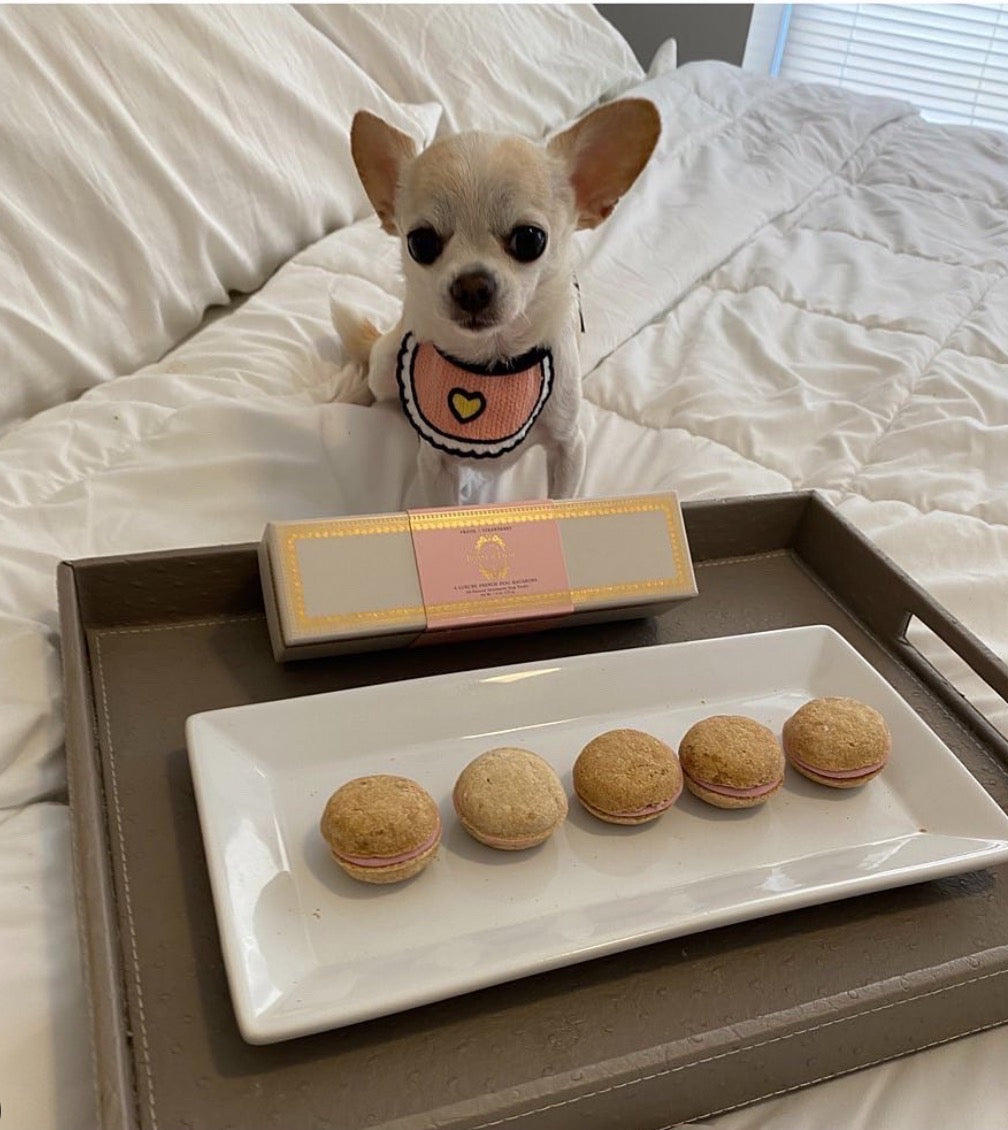 Love Pink Bibs for pets-2