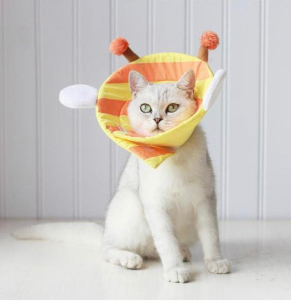 Cute Soft Cat Cone-3