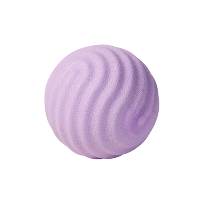 PIDAN Durable Bouncy Dog Toy Ball Pidan New Zealand
