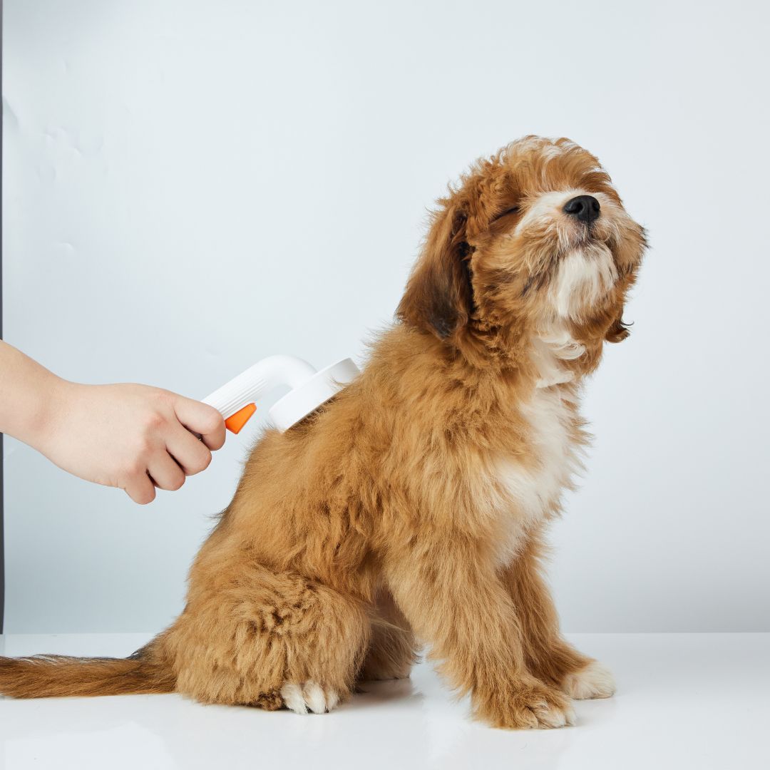 PETKIT Grooming Brush Petkit New Zealand Official