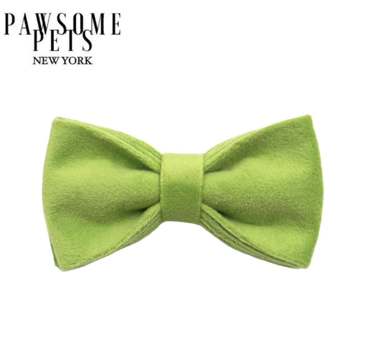 BOWTIE - GRASS GREEN-0