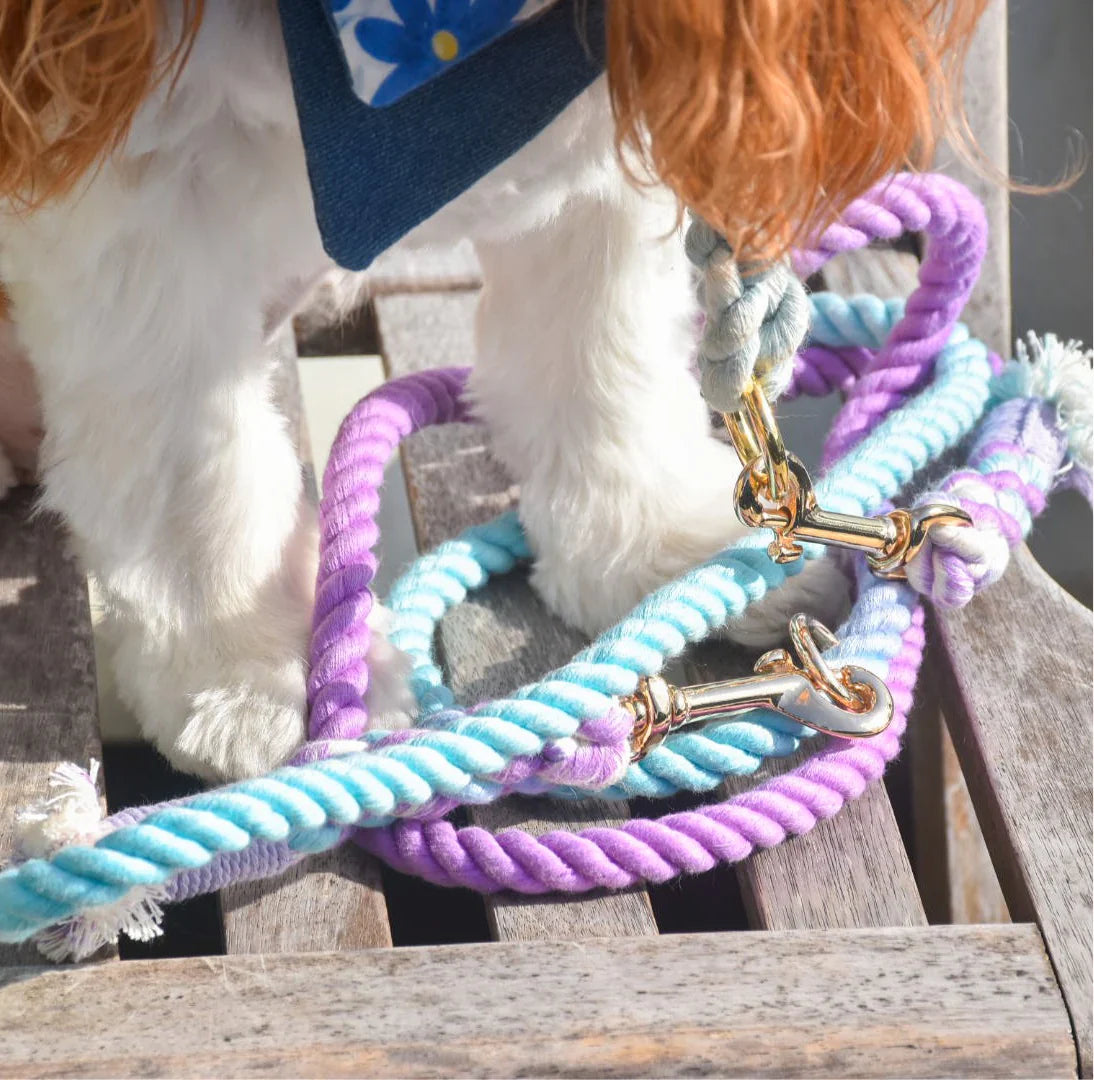 HANDS FREE ROPE LEASH - AURORA-2