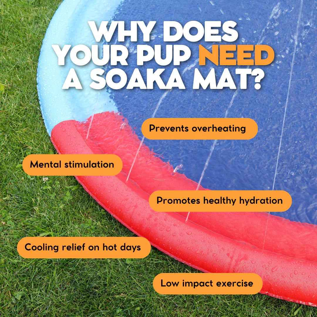 The Soaka - By Maple & Co