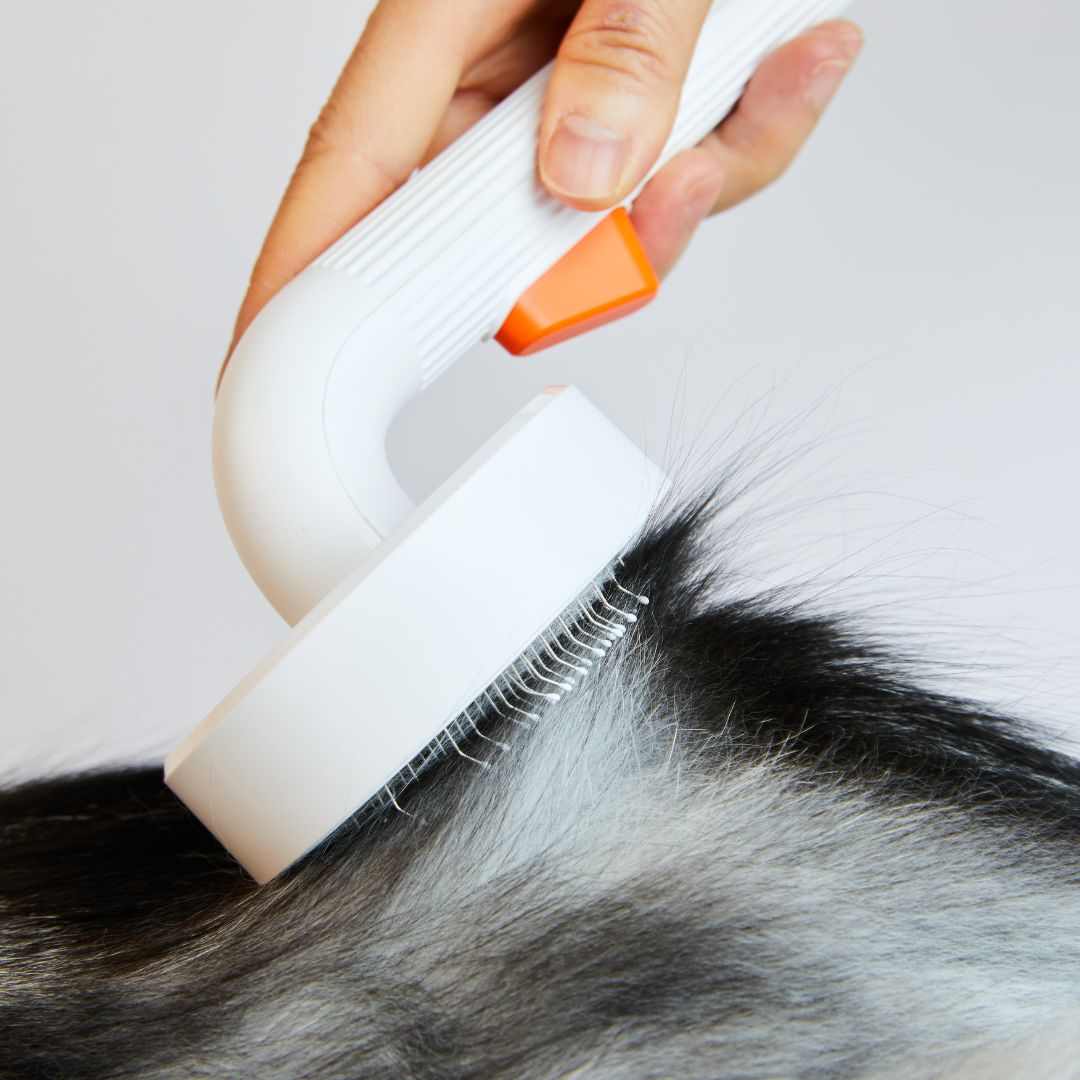 PETKIT Grooming Brush Petkit New Zealand Official