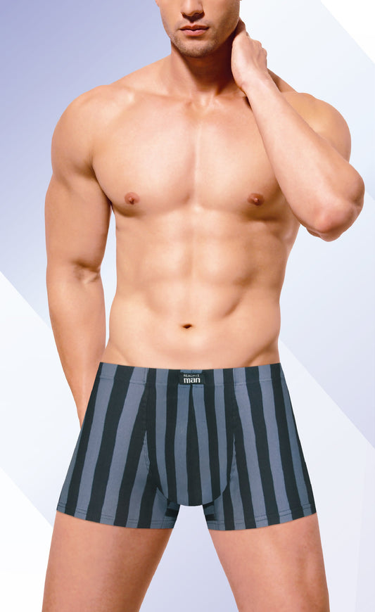 Men's Wide Stripe Trunks Reach17