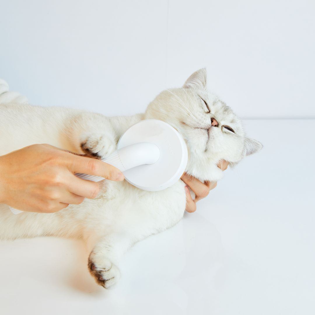 PETKIT Grooming Brush Petkit New Zealand Official