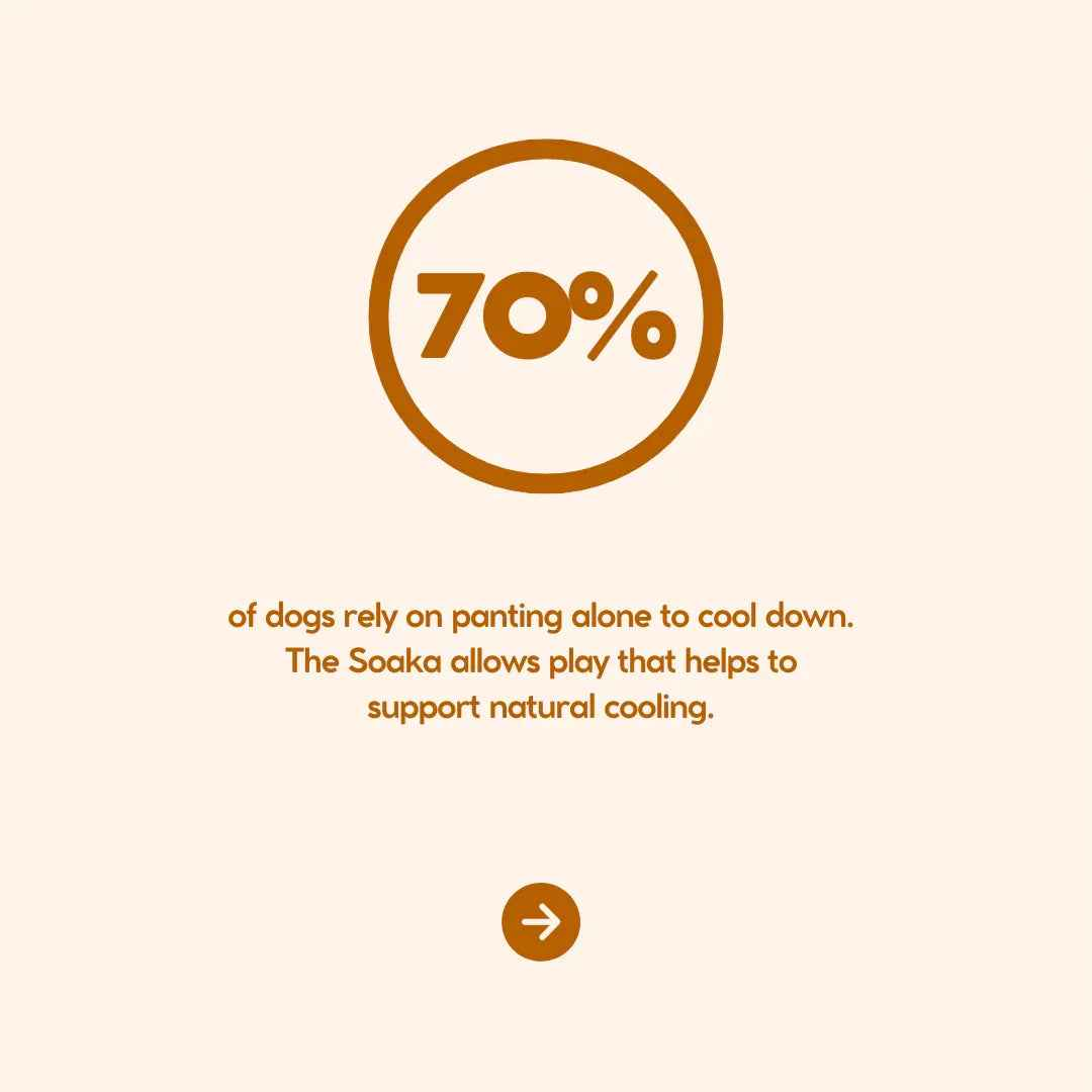 The Soaka - By Maple & Co