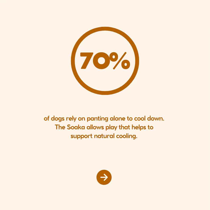 The Soaka - By Maple & Co