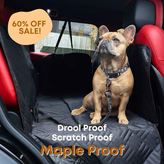 The Guardian - Dog Seat Cover