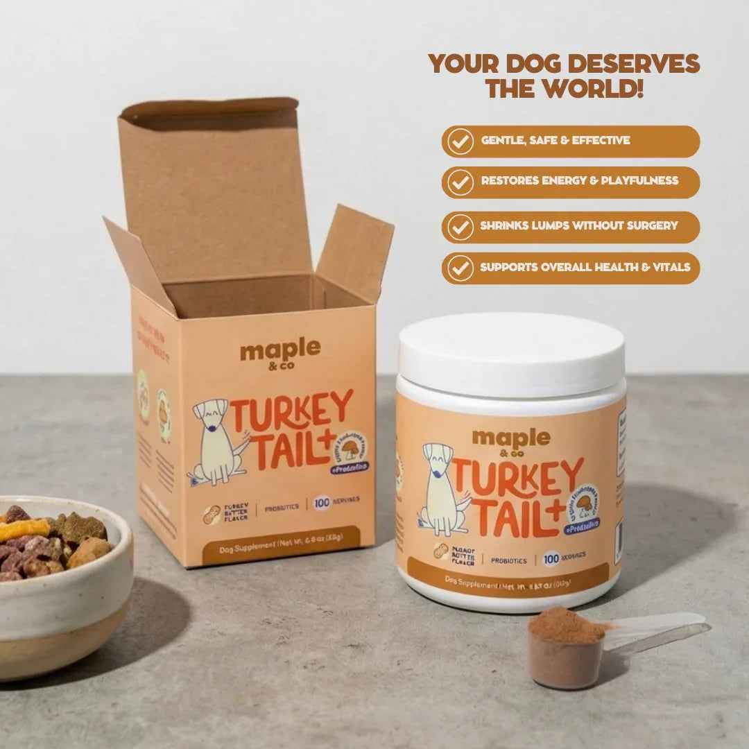 Maple&Co Turkey Tail+ Formula