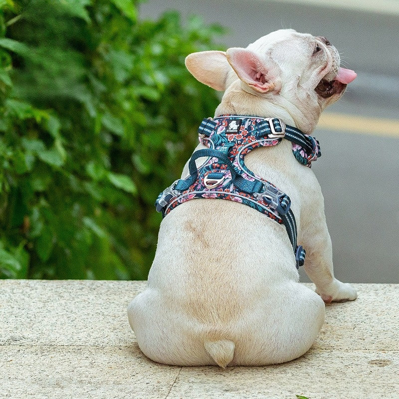 Truelove TrailBloom Reflective Dog Harness