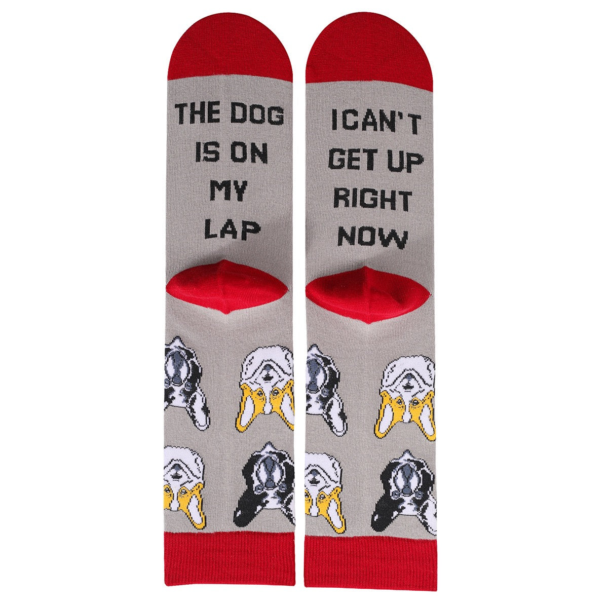 Pawsome Socks #5-4
