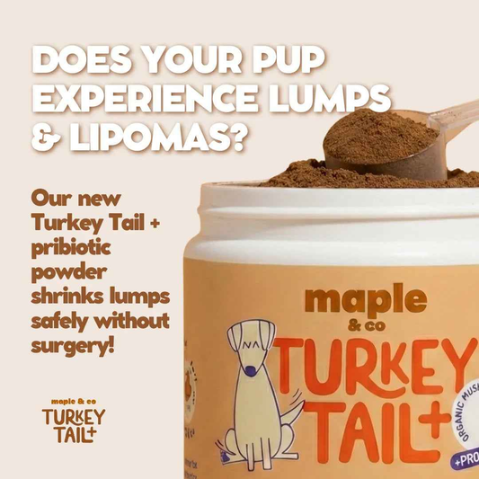 Maple&Co Turkey Tail+ Formula