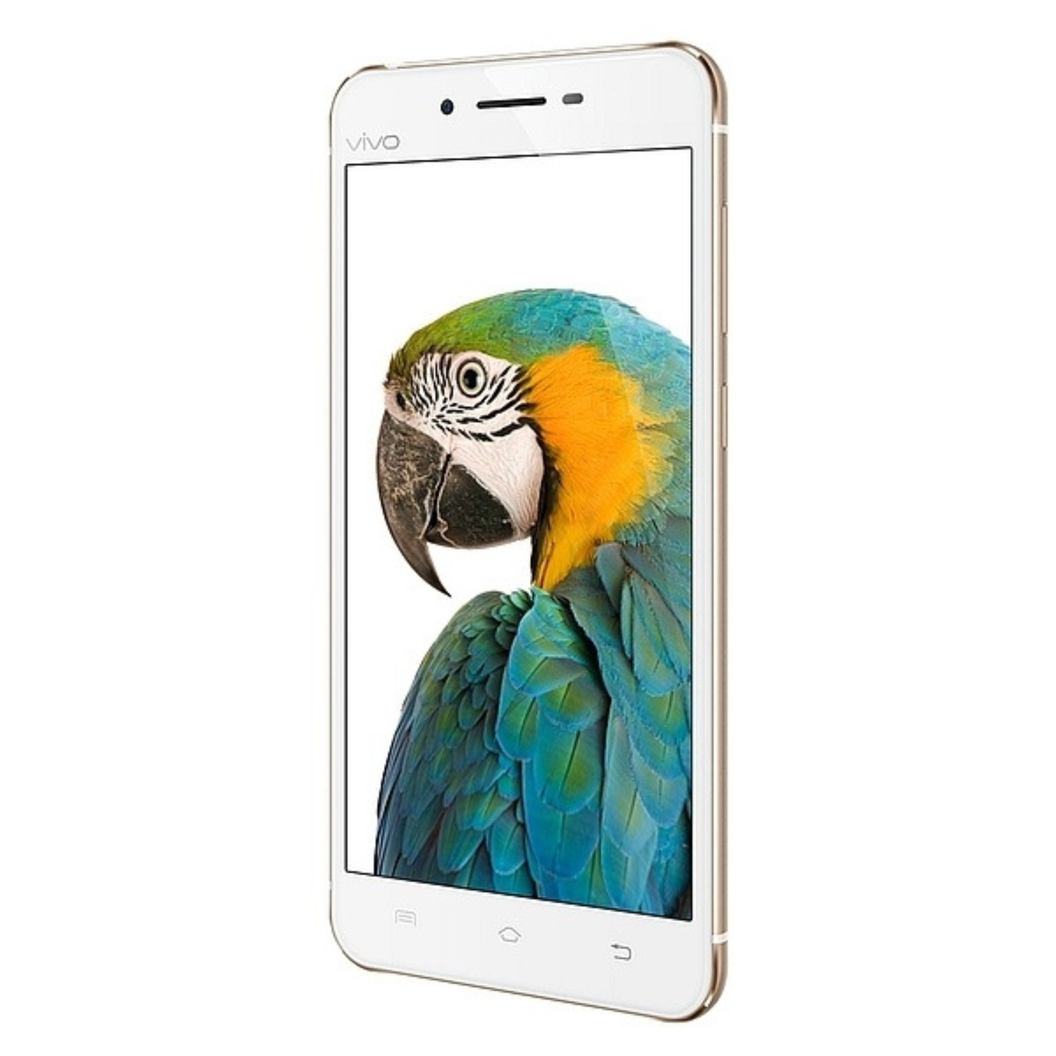 Hydrogel screen protector for Vivo X6 by 9eight5, pack of 2, showing transparent film covering the phone screen.