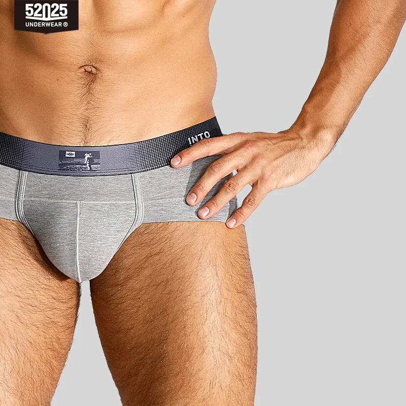 52025 Quiet Luxe Men's Viscose-Stretch Briefs