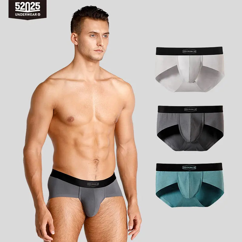 52025 Everyday Hue Men's Modal-Stretch Briefs 3-Pack