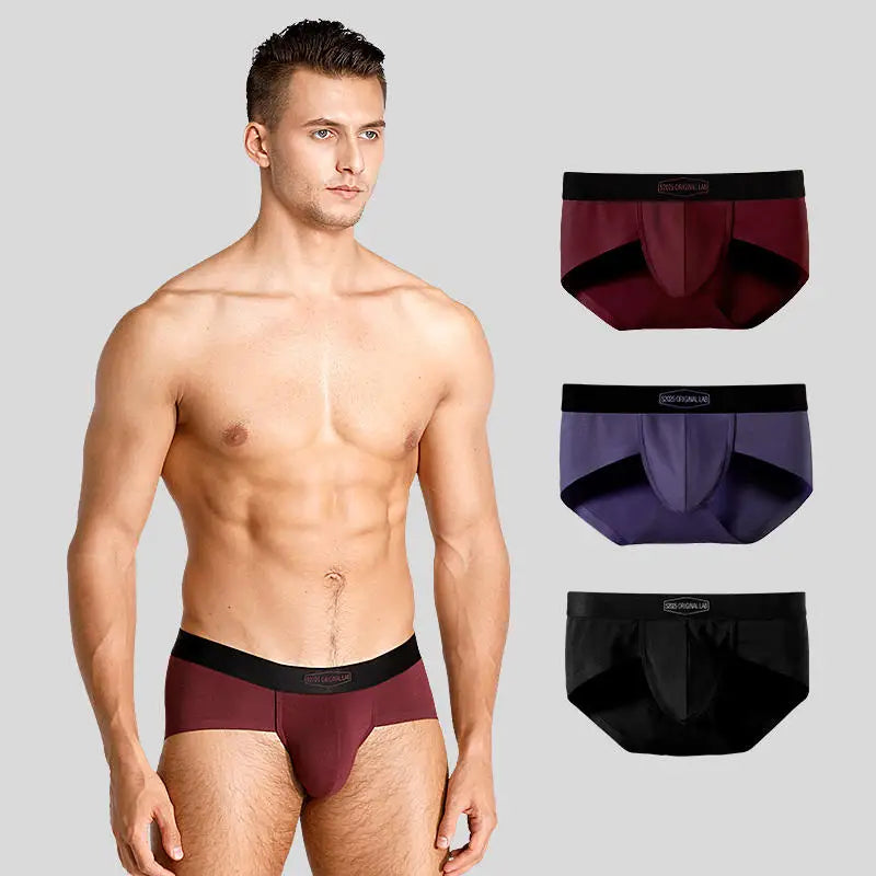 52025 Everyday Hue Men's Modal-Stretch Briefs 3-Pack